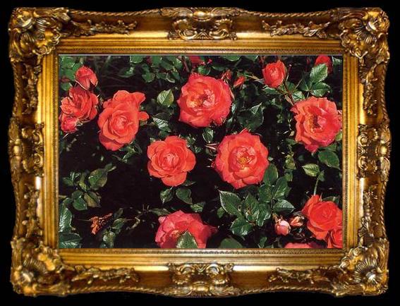 framed  unknow artist Still life floral, all kinds of reality flowers oil painting  240, ta009-2